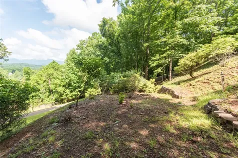 1424 Dowdle Mountain Road Franklin NC 28734