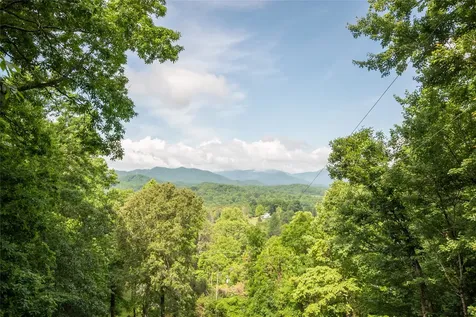 1424 Dowdle Mountain Road Franklin NC 28734