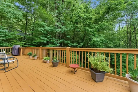 58 Osage Lane Scaly Mountain NC 28775