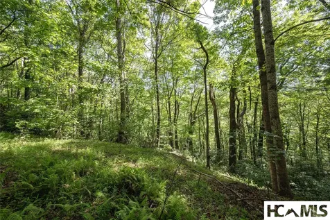 B2B Twin Lakes Drive Cashiers NC 28717