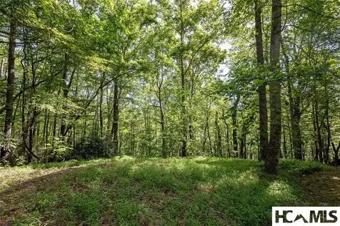 B2B Twin Lakes Drive Cashiers NC 28717