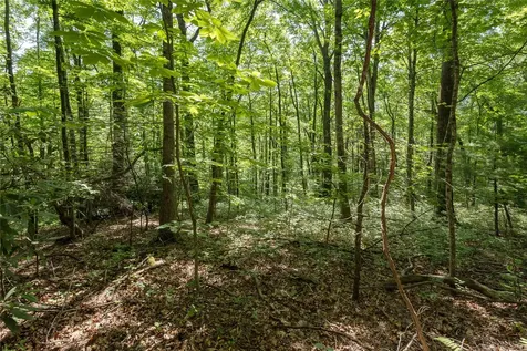 B2B Twin Lakes Drive Cashiers NC 28717