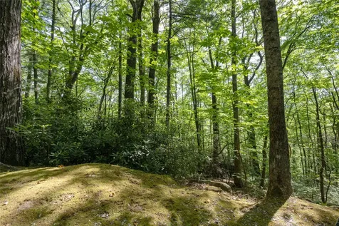 B2B Twin Lakes Drive Cashiers NC 28717