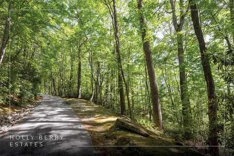 B2B Twin Lakes Drive Cashiers NC 28717