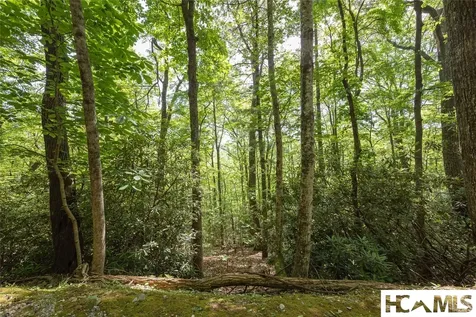B2B Twin Lakes Drive Cashiers NC 28717