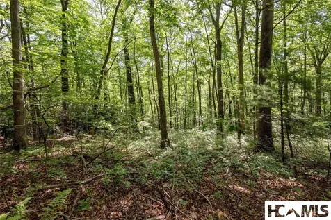 B2B Twin Lakes Drive Cashiers NC 28717