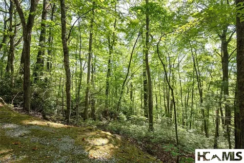 B2B Twin Lakes Drive Cashiers NC 28717