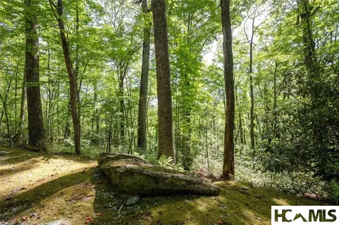 B2B Twin Lakes Drive Cashiers NC 28717