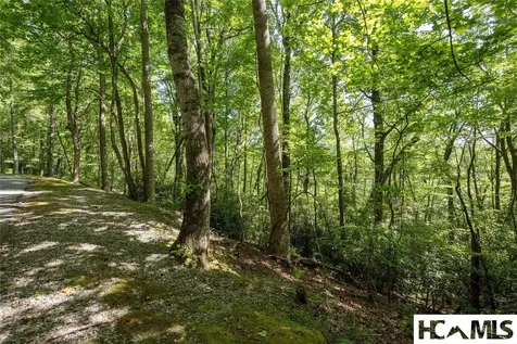 B2B Twin Lakes Drive Cashiers NC 28717
