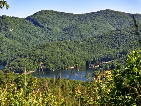 4017 Canada Road Tuckasegee NC 28783