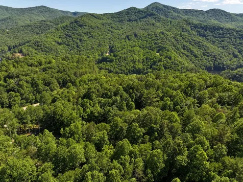 4017 Canada Road Tuckasegee NC 28783