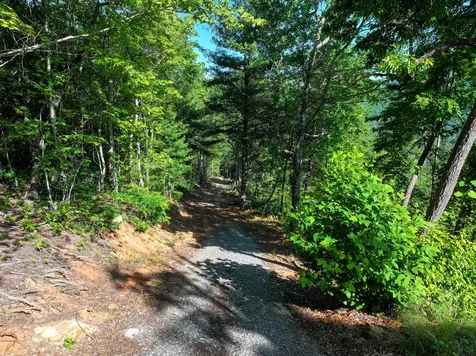 4017 Canada Road Tuckasegee NC 28783
