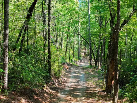 4017 Canada Road Tuckasegee NC 28783