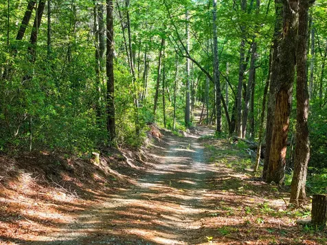 4017 Canada Road Tuckasegee NC 28783
