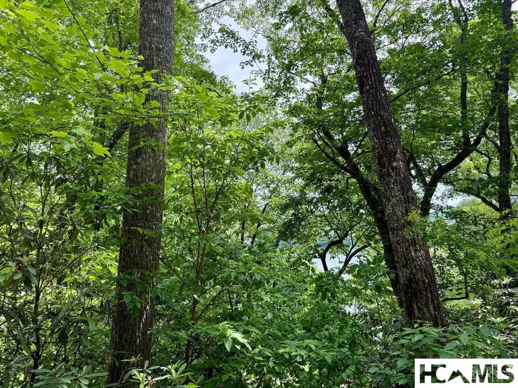 14 Via Del Lago Cullowhee NC 28723