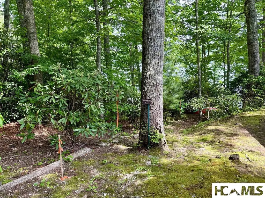 14 Via Del Lago Cullowhee NC 28723