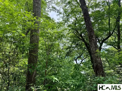 14 Via Del Lago Cullowhee NC 28723