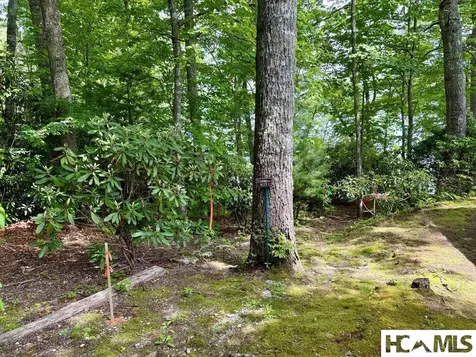 14 Via Del Lago Cullowhee NC 28723