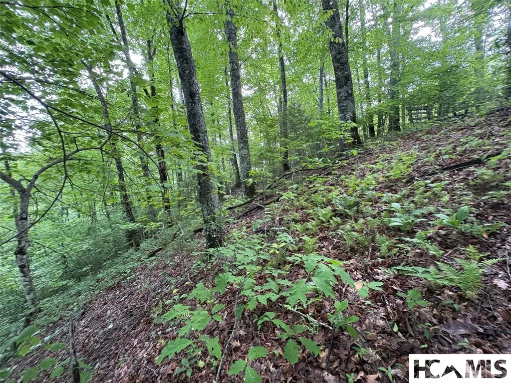 Lt 22 Hibernation Place Cullowhee NC 28723