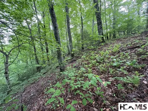 Lt 22 Hibernation Place Cullowhee NC 28723