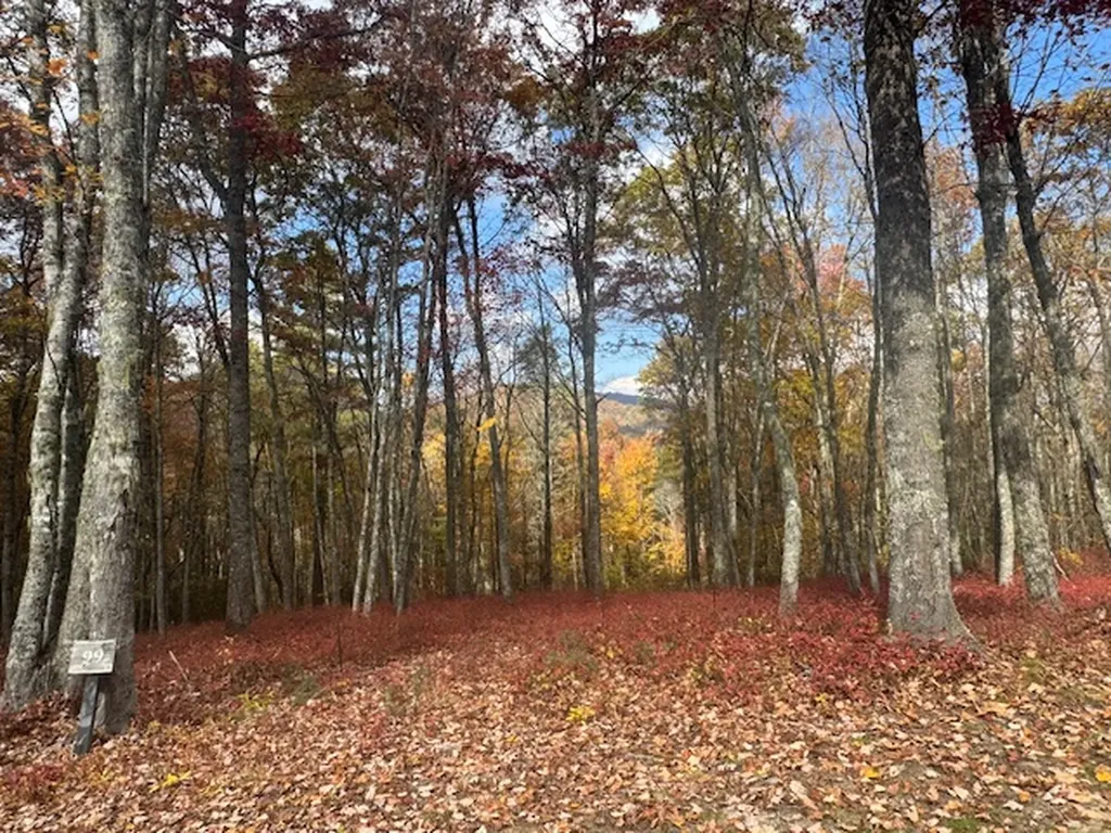 00 Blazing Star Trail Glenville NC 28736