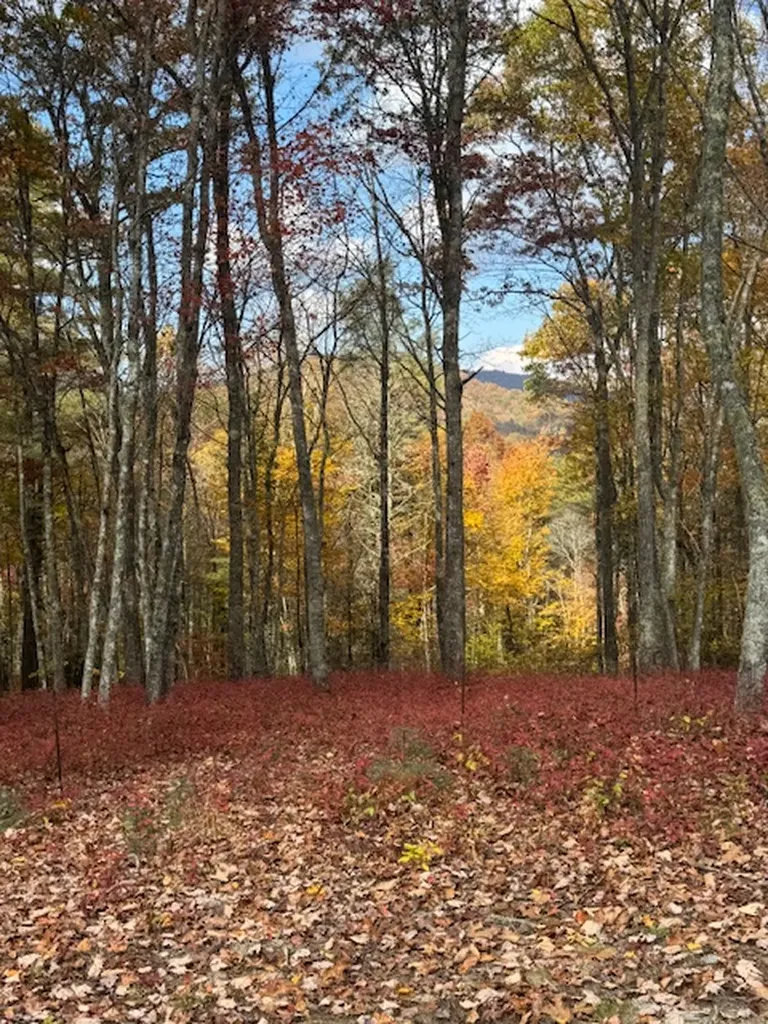 00 Blazing Star Trail Glenville NC 28736