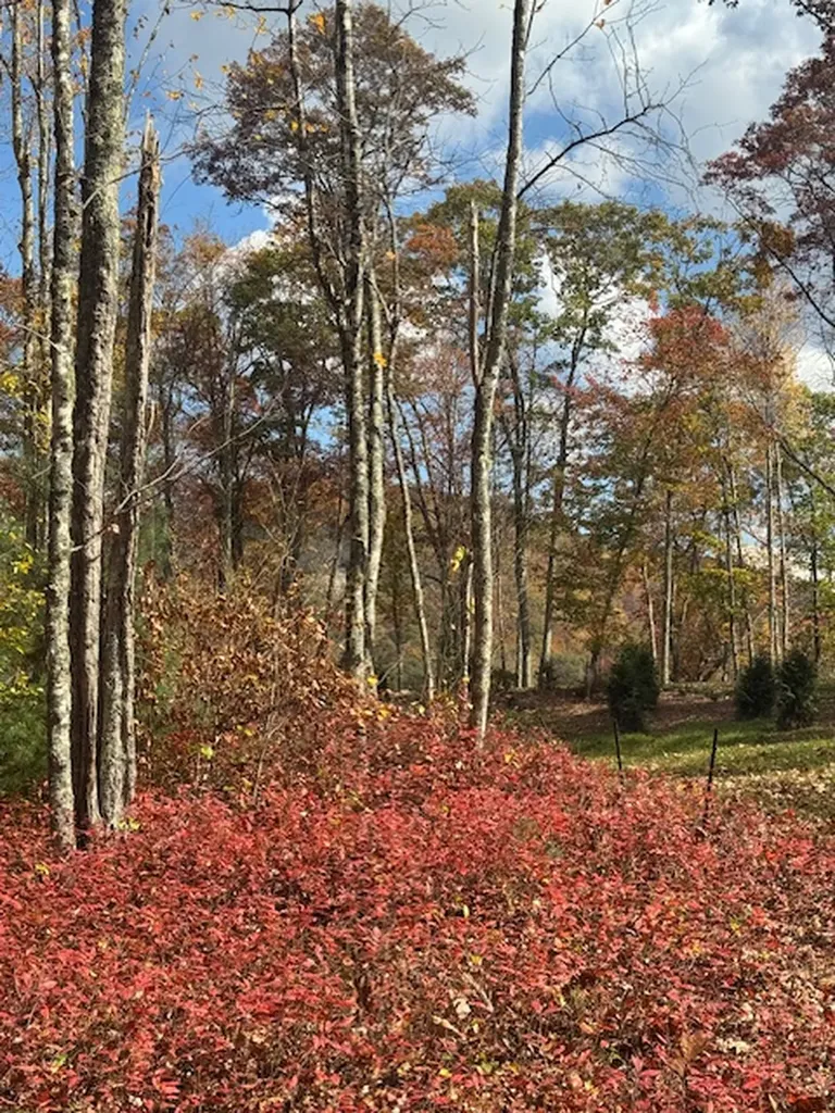 00 Blazing Star Trail Glenville NC 28736