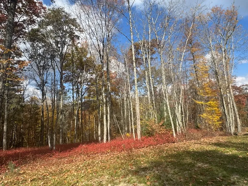 00 Blazing Star Trail Glenville NC 28736