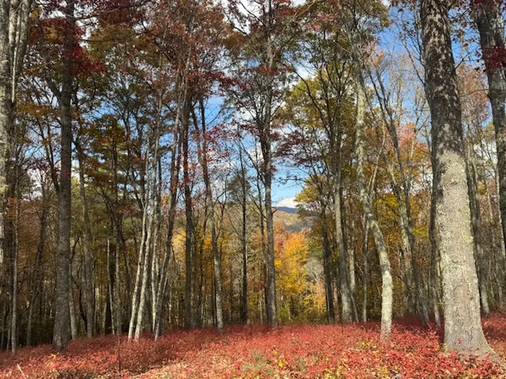 00 Blazing Star Trail Glenville NC 28736