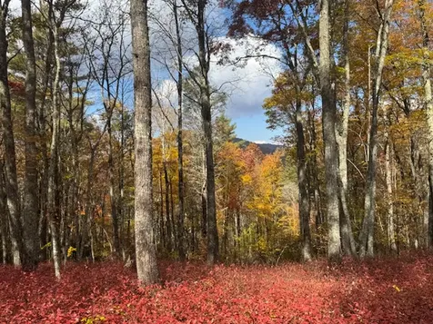 00 Blazing Star Trail Glenville NC 28736
