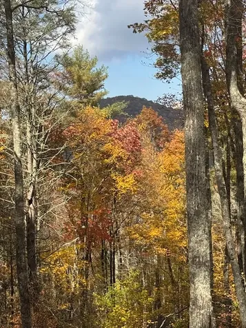 00 Blazing Star Trail Glenville NC 28736