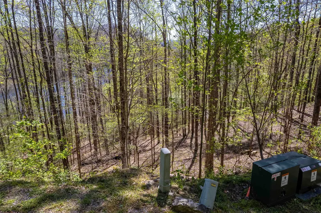 00 Pepperbush Lane Tuckasegee NC 28783