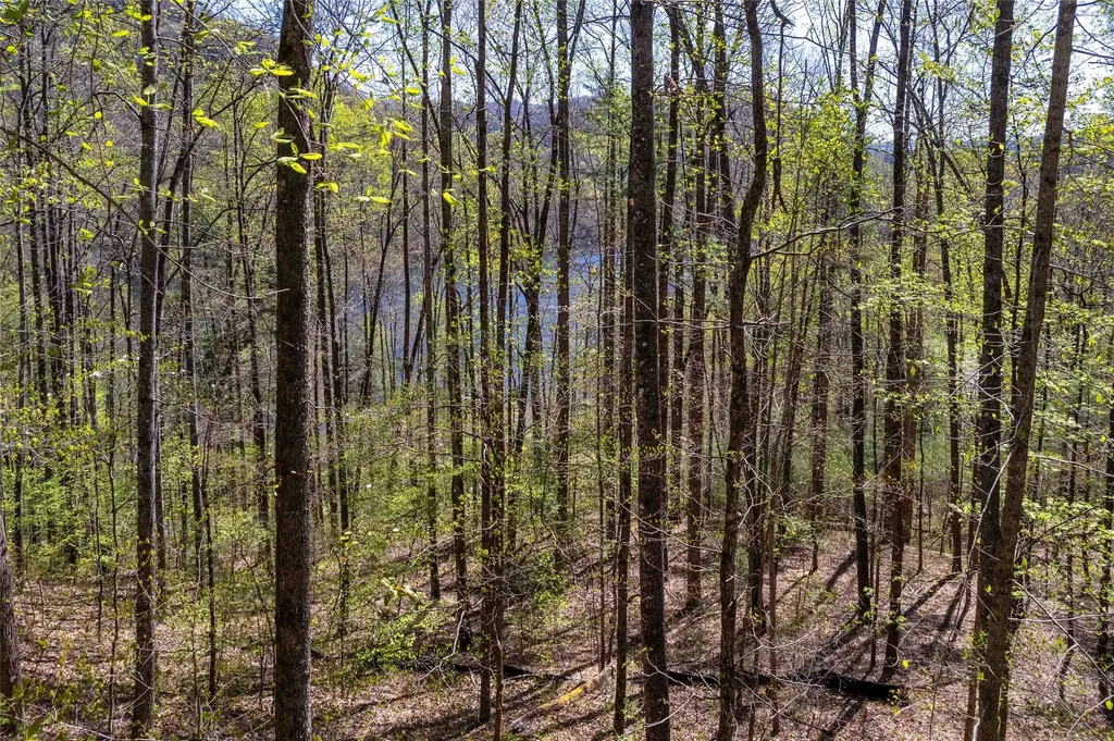 00 Pepperbush Lane Tuckasegee NC 28783