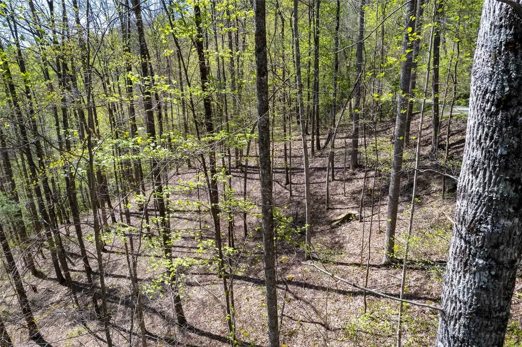 00 Pepperbush Lane Tuckasegee NC 28783