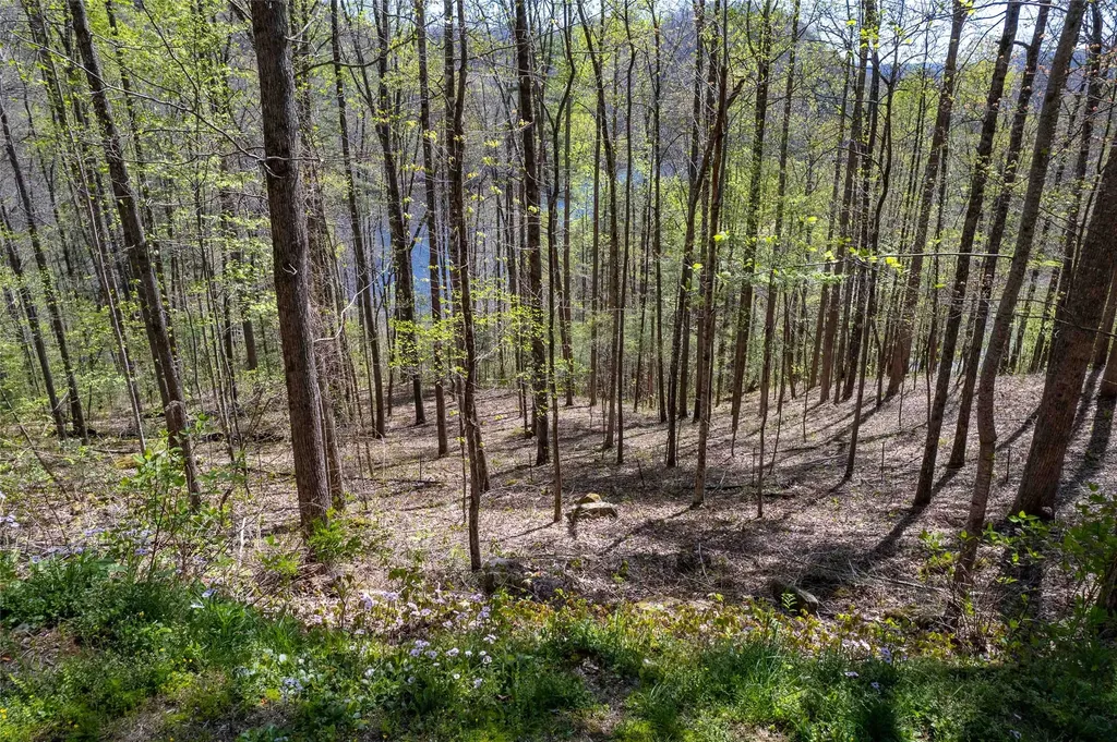00 Pepperbush Lane Tuckasegee NC 28783