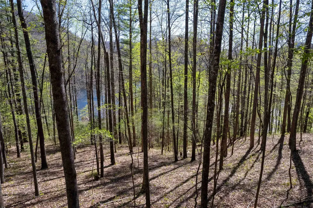 00 Pepperbush Lane Tuckasegee NC 28783
