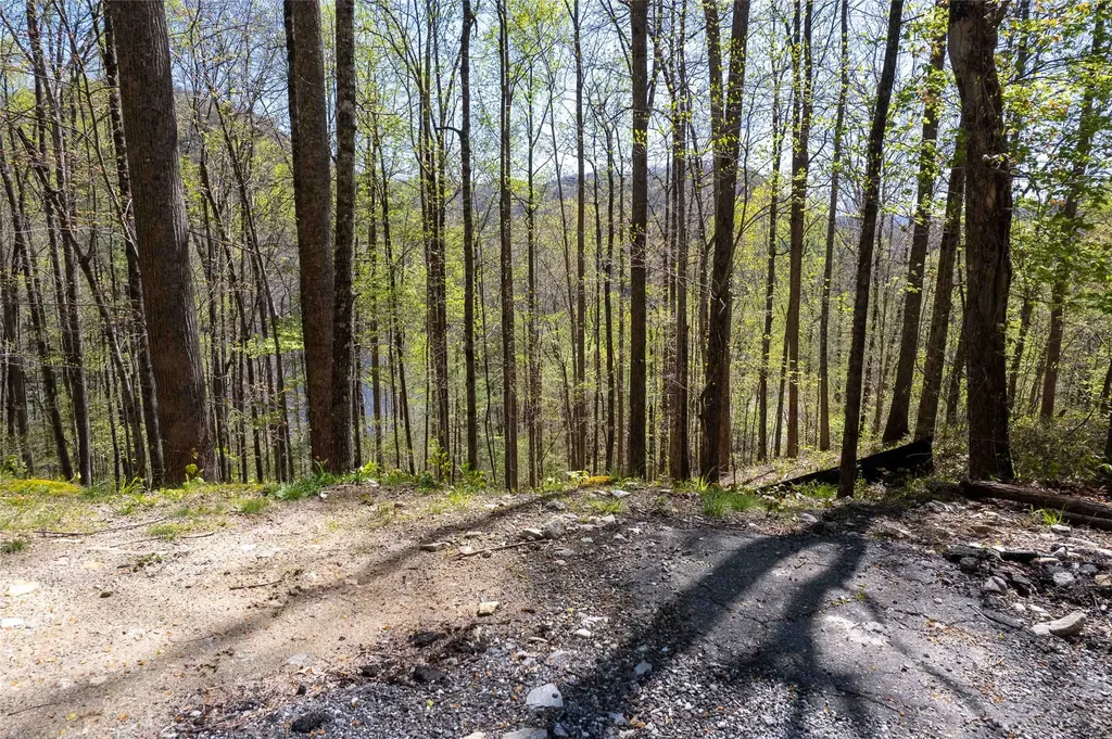 00 Pepperbush Lane Tuckasegee NC 28783