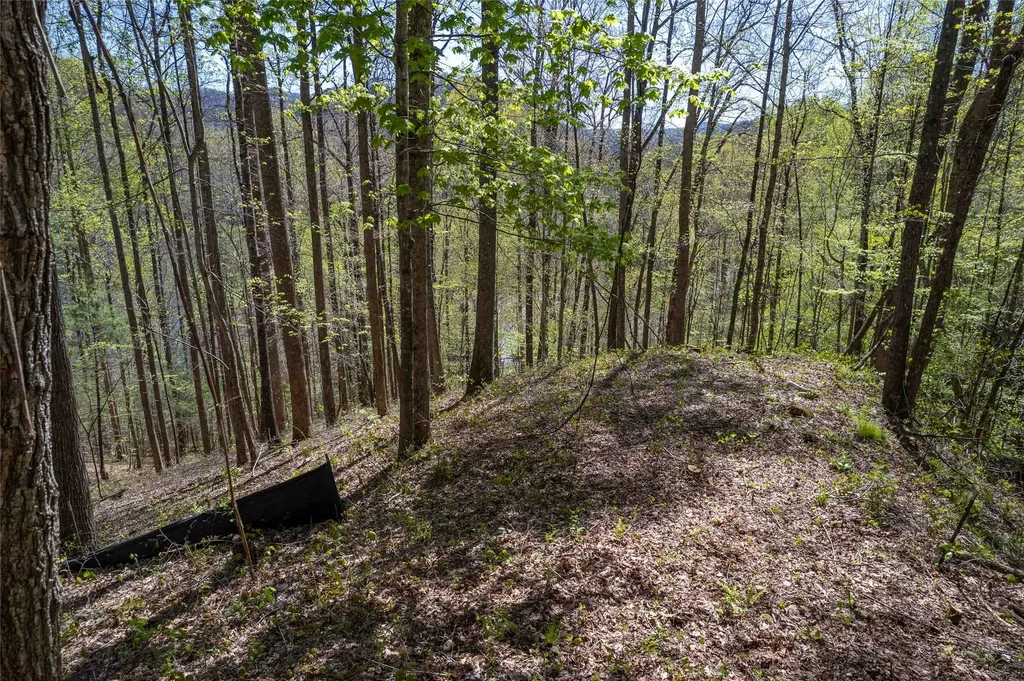 00 Pepperbush Lane Tuckasegee NC 28783