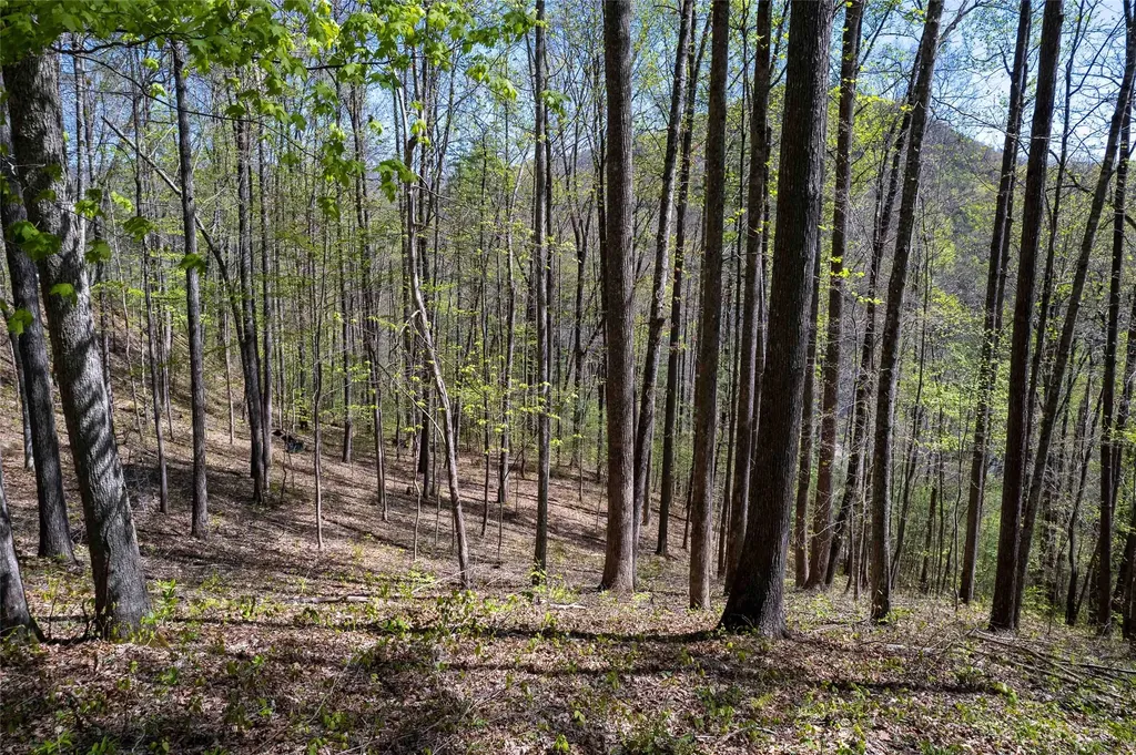 00 Pepperbush Lane Tuckasegee NC 28783