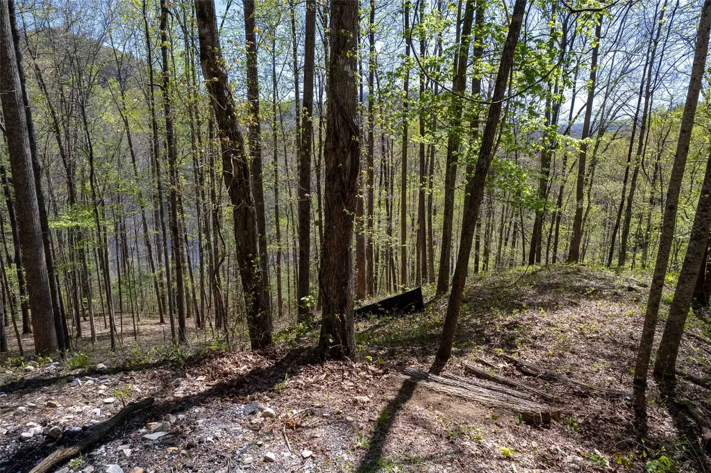 00 Pepperbush Lane Tuckasegee NC 28783
