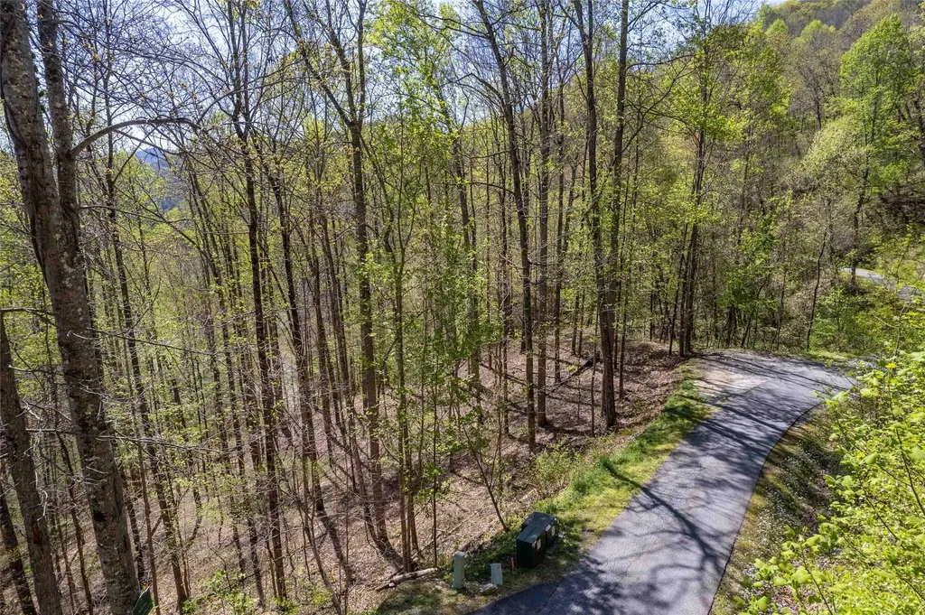 00 Pepperbush Lane Tuckasegee NC 28783