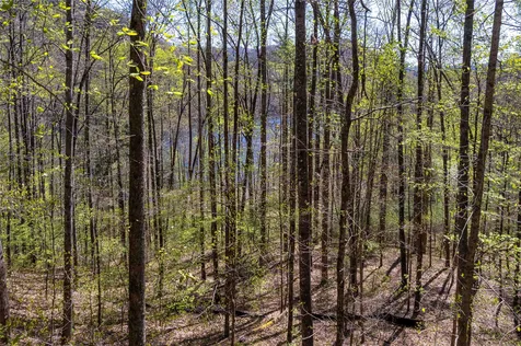 00 Pepperbush Lane Tuckasegee NC 28783