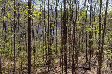 00 Pepperbush Lane Tuckasegee NC 28783