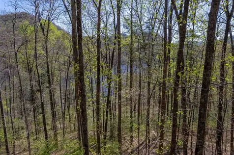 00 Pepperbush Lane Tuckasegee NC 28783