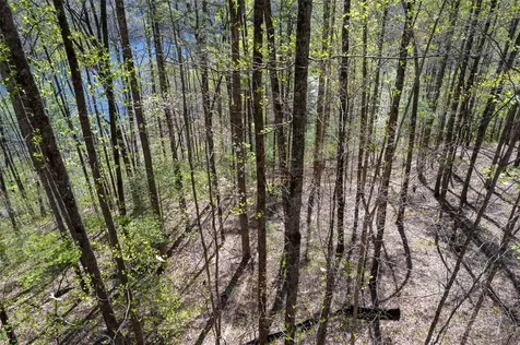 00 Pepperbush Lane Tuckasegee NC 28783