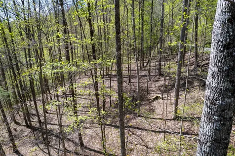 00 Pepperbush Lane Tuckasegee NC 28783