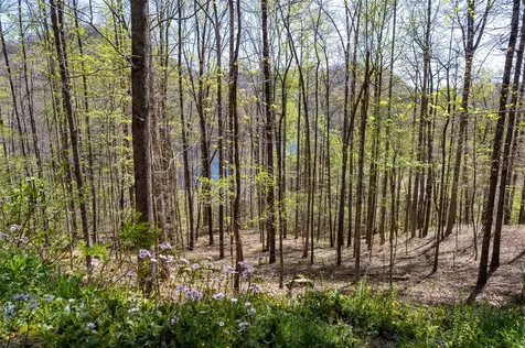00 Pepperbush Lane Tuckasegee NC 28783
