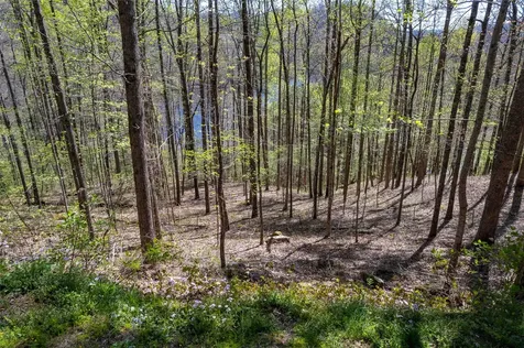 00 Pepperbush Lane Tuckasegee NC 28783
