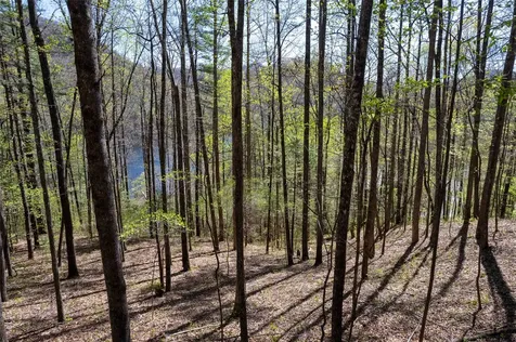 00 Pepperbush Lane Tuckasegee NC 28783
