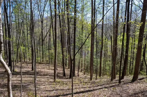 00 Pepperbush Lane Tuckasegee NC 28783